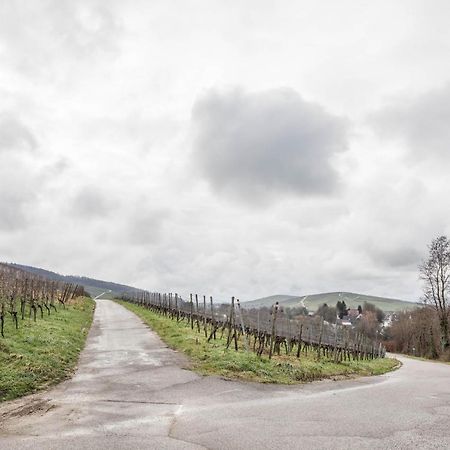 Ferienwohnung Holly Ebringen Zewnętrze zdjęcie